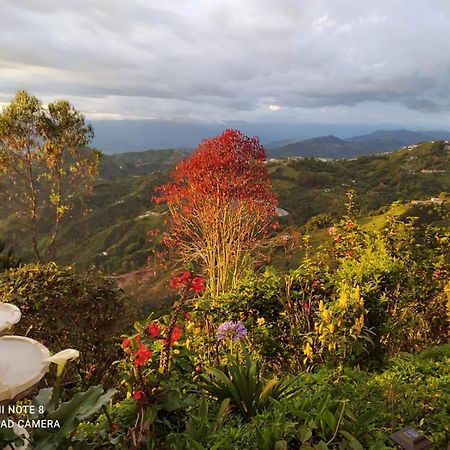 Mirador Finca Morrogacho マニサレス エクステリア 写真
