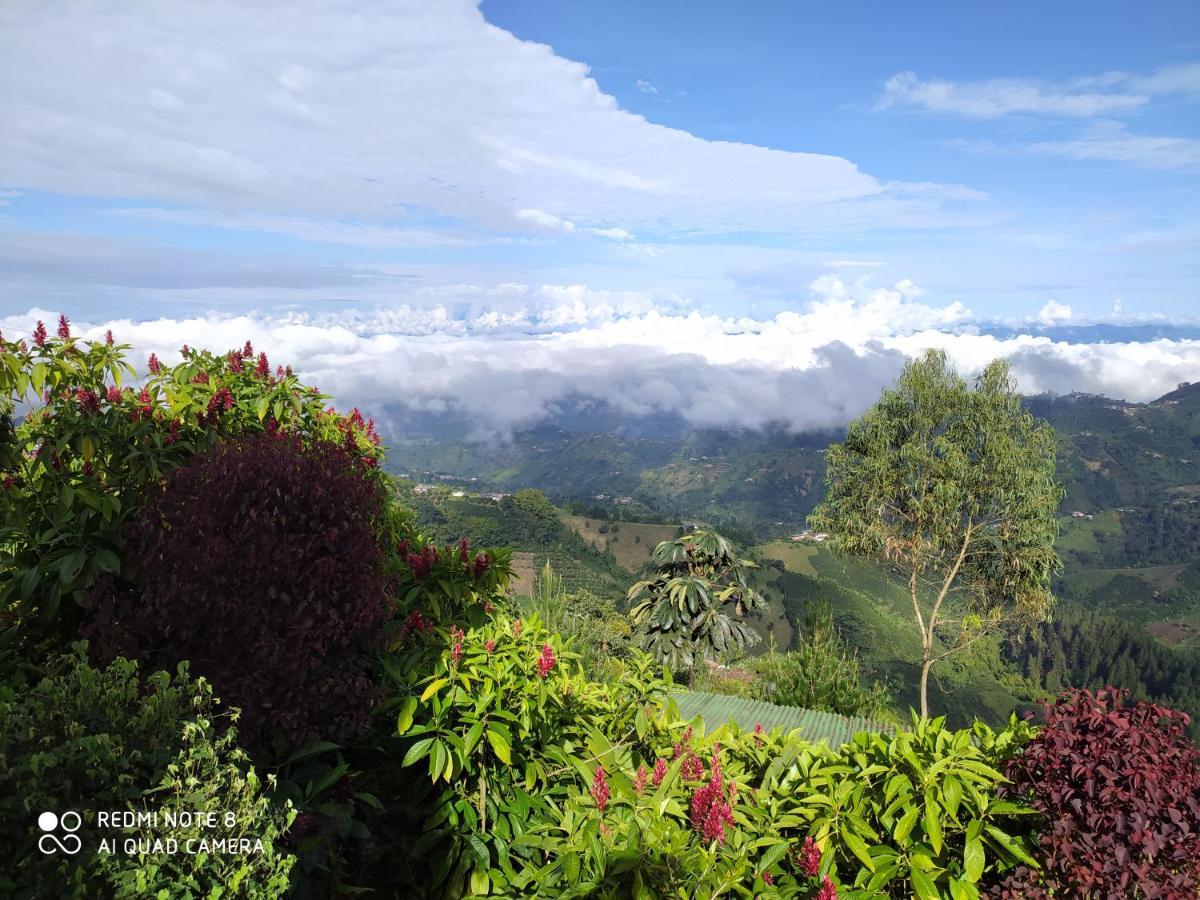 Mirador Finca Morrogacho マニサレス エクステリア 写真