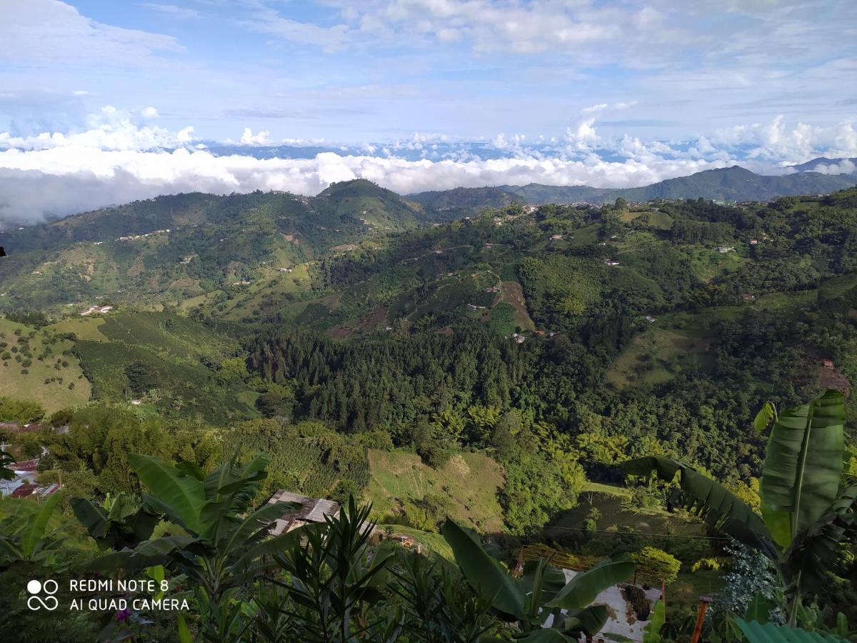 Mirador Finca Morrogacho マニサレス エクステリア 写真