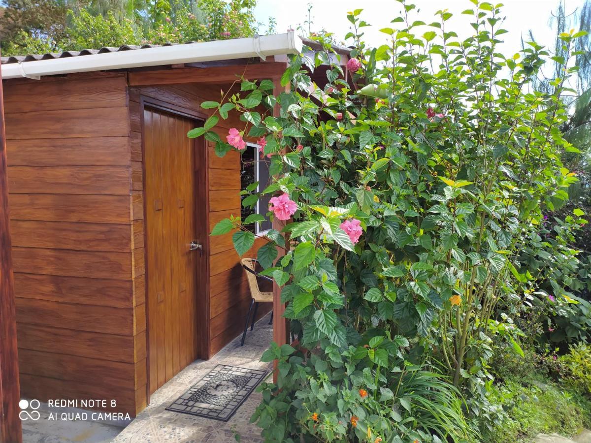 Mirador Finca Morrogacho マニサレス エクステリア 写真