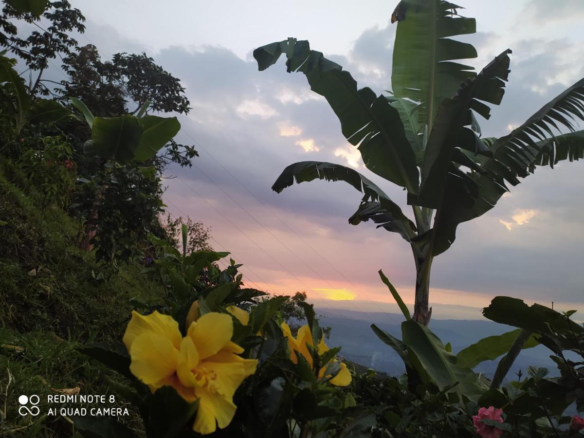 Mirador Finca Morrogacho マニサレス エクステリア 写真
