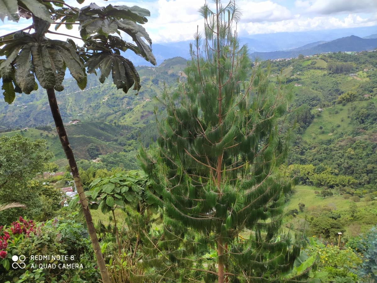 Mirador Finca Morrogacho マニサレス エクステリア 写真