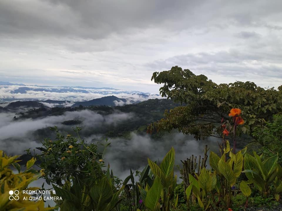 Mirador Finca Morrogacho マニサレス エクステリア 写真