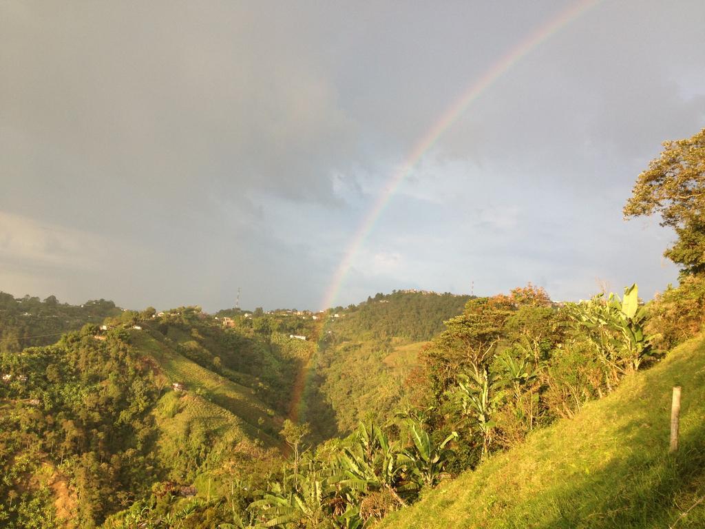 Mirador Finca Morrogacho マニサレス エクステリア 写真