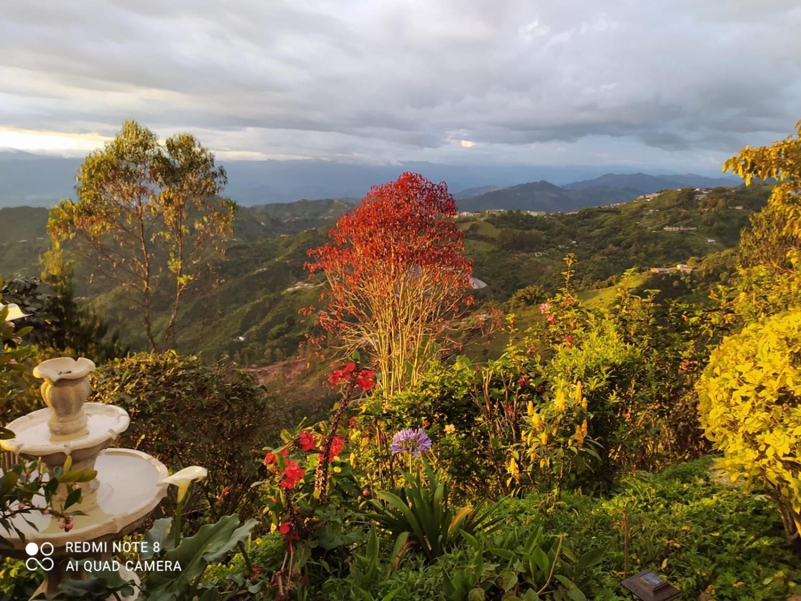Mirador Finca Morrogacho マニサレス エクステリア 写真
