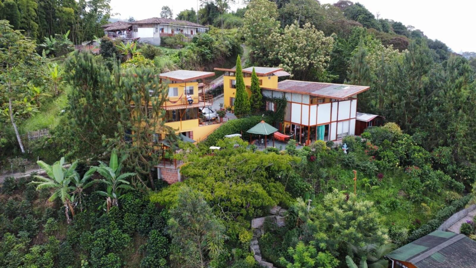 Mirador Finca Morrogacho マニサレス エクステリア 写真