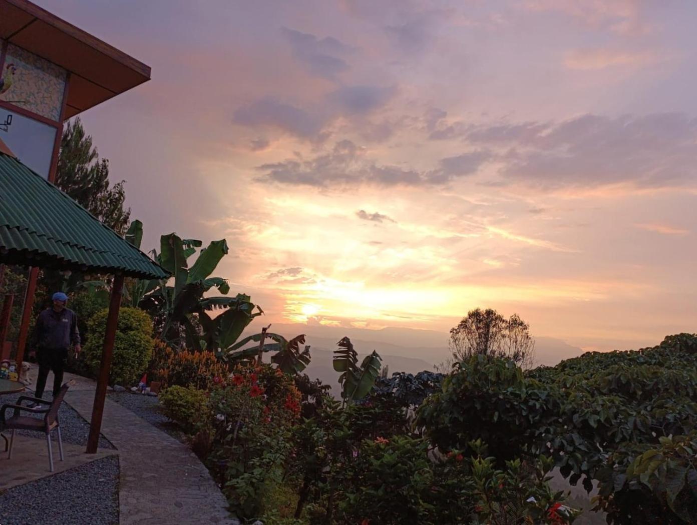 Mirador Finca Morrogacho マニサレス エクステリア 写真