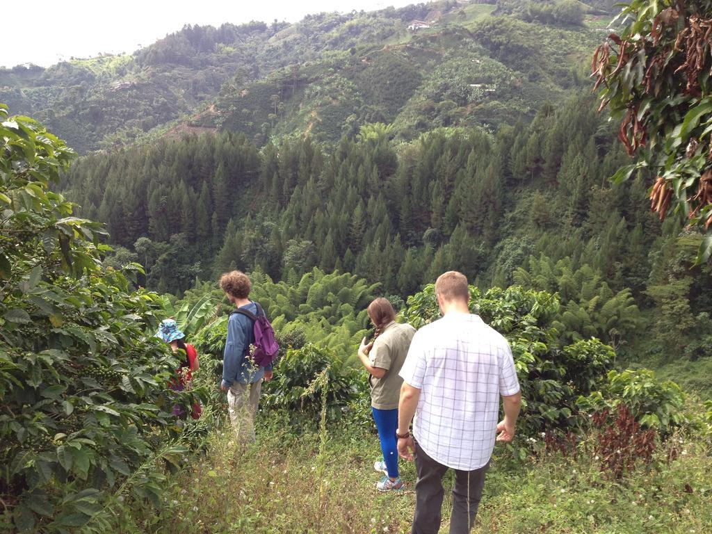 Mirador Finca Morrogacho マニサレス エクステリア 写真