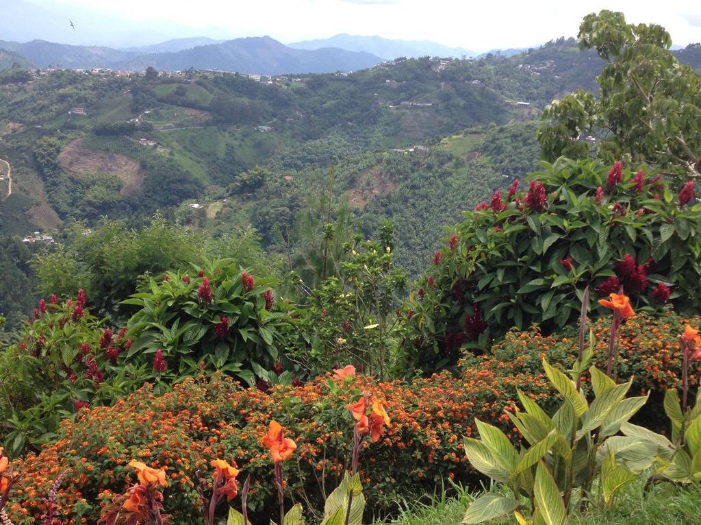Mirador Finca Morrogacho マニサレス エクステリア 写真