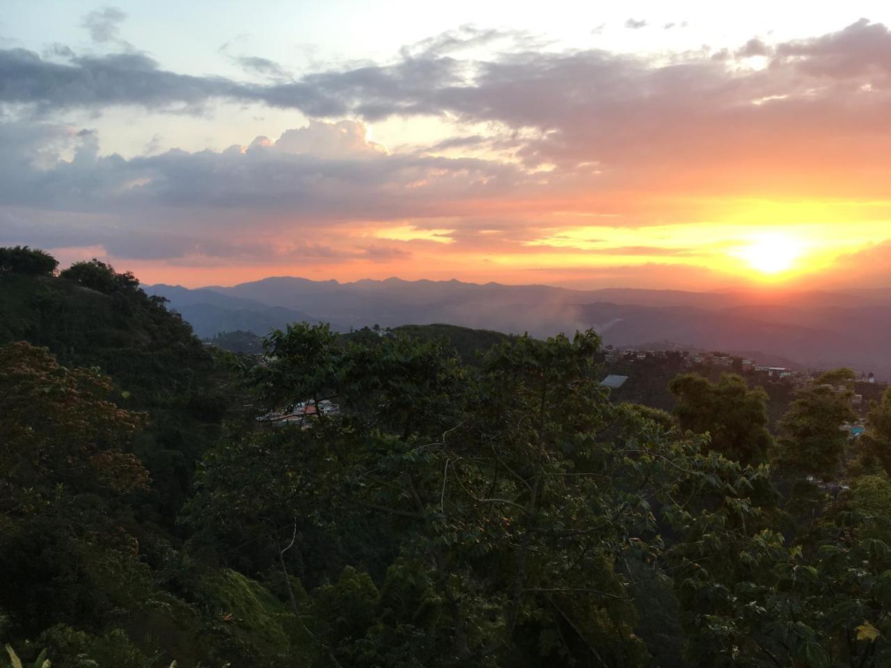 Mirador Finca Morrogacho マニサレス エクステリア 写真